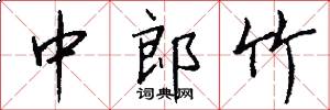 中郎竹怎么写好看
