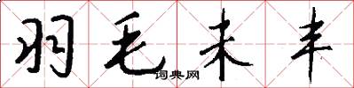 羽毛未丰怎么写好看
