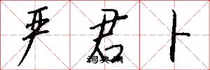 严君卜怎么写好看