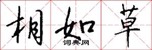 相如草怎么写好看