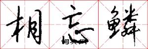 相忘鳞怎么写好看