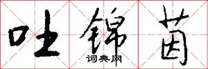 吐锦茵怎么写好看