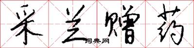 采兰赠药怎么写好看