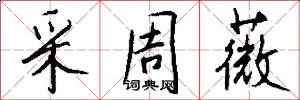 采周薇怎么写好看
