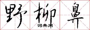 野柳鼻怎么写好看
