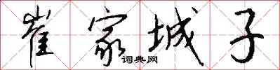 崔家城子怎么写好看