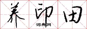 养印田怎么写好看