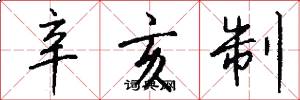 辛亥制怎么写好看