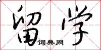 留学怎么写好看