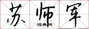 苏师军怎么写好看