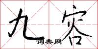 九容怎么写好看