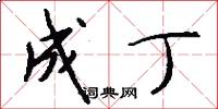 成丁怎么写好看