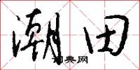 潮田怎么写好看