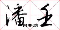 潘壬怎么写好看