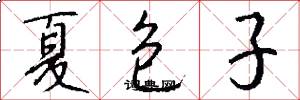 夏包子怎么写好看