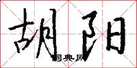 胡阳怎么写好看