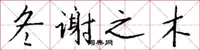 冬谢之木怎么写好看