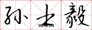 孙士毅怎么写好看