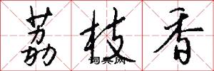 荔枝香怎么写好看