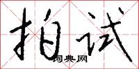 拍试怎么写好看