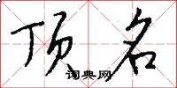 顶名怎么写好看