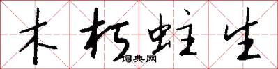 木朽蛀生怎么写好看