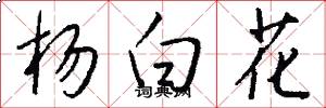 杨白花怎么写好看