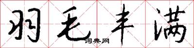 羽毛丰满怎么写好看