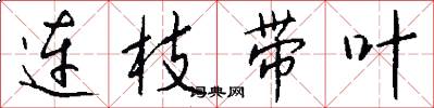连枝带叶怎么写好看