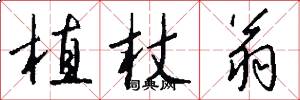 植杖翁怎么写好看