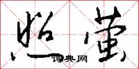 照萤怎么写好看