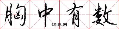 胸中有数怎么写好看