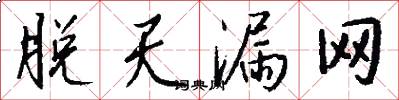 脱天漏网怎么写好看