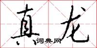 真龙怎么写好看