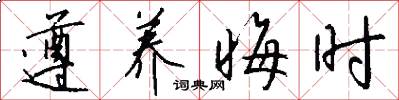 遵养晦时怎么写好看