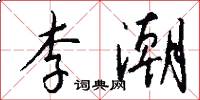 李潮怎么写好看