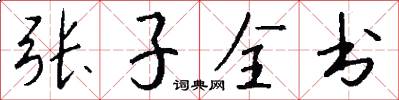 张子全书怎么写好看