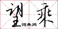 望乘怎么写好看