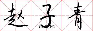 赵子青怎么写好看