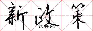 新政策怎么写好看