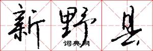 新野县怎么写好看