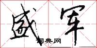 盛军怎么写好看