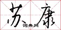 苏康怎么写好看