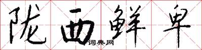 陇西鲜卑怎么写好看