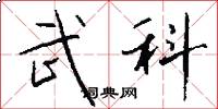 武科怎么写好看