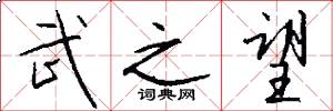 武之望怎么写好看