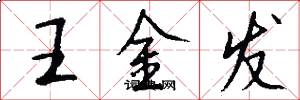 王金发怎么写好看