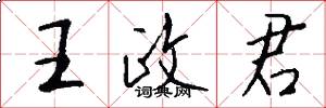 王政君怎么写好看