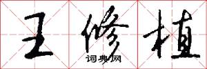 王修植怎么写好看