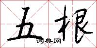 五根怎么写好看